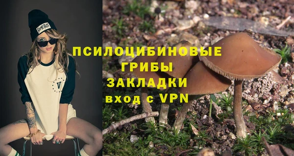 a pvp Белокуриха