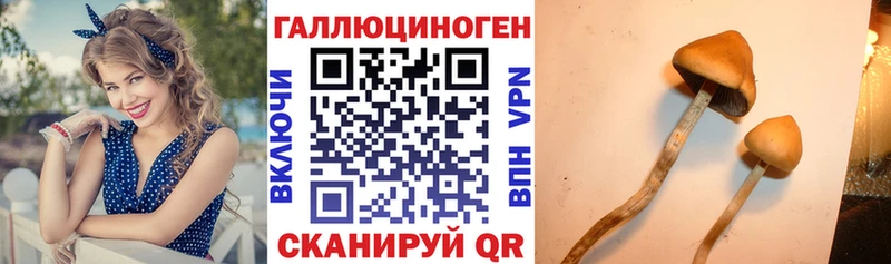 что такое   Пионерский  Галлюциногенные грибы MAGIC MUSHROOMS 